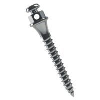 Miniparafuso Ortodôntico Compr.: 10mm Transm.: 2mm Ø1.5mm – MORELLI